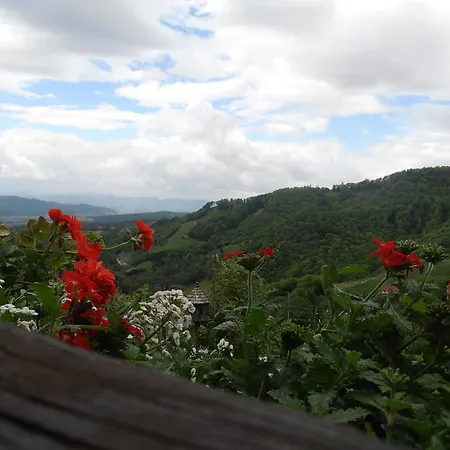Weingut Rupp Vakantieboerderij Kitzeck im Sausal