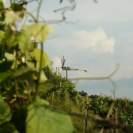 Weingut Rupp Kitzeck im Sausal
