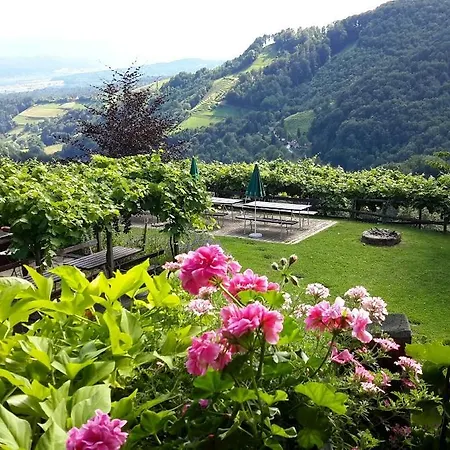 Feriegård Weingut Rupp *