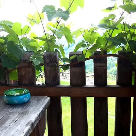 Weingut Rupp Vakantieboerderij