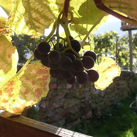 Weingut Rupp Feriegård Kitzeck im Sausal