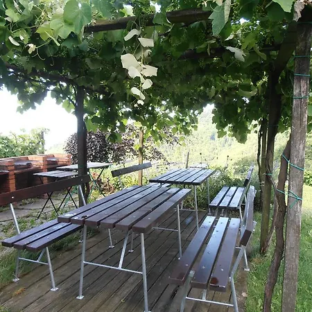 Weingut Rupp