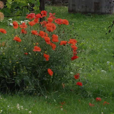 Farm stay Weingut Rupp